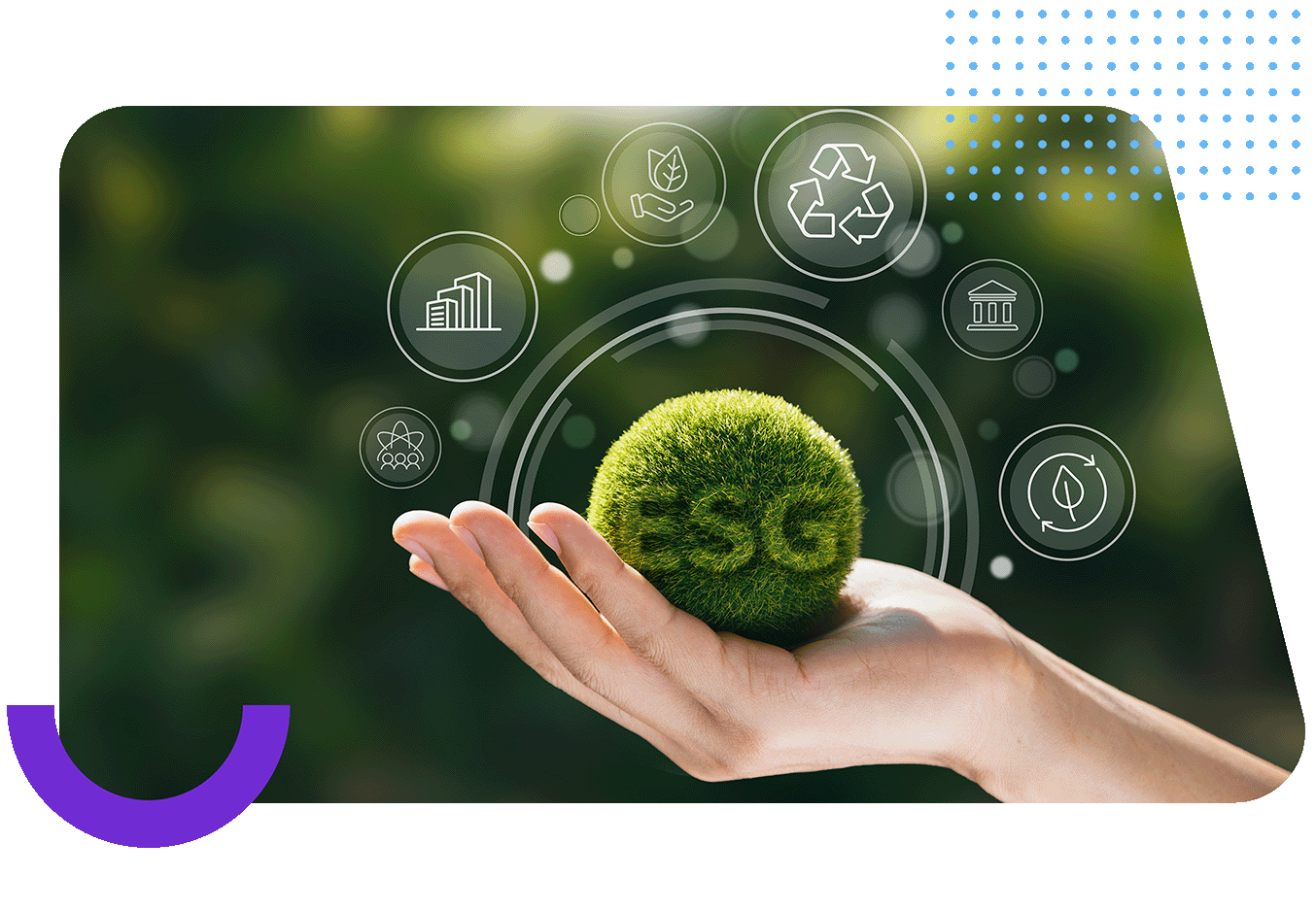 Transformación con Propósito